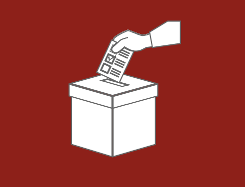 2010 election