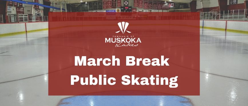 March Break Public Skating