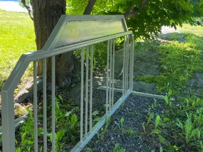 A bike rack in a park in the Township