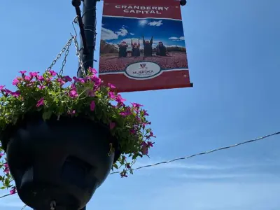 Hanging basket with flowers on a street