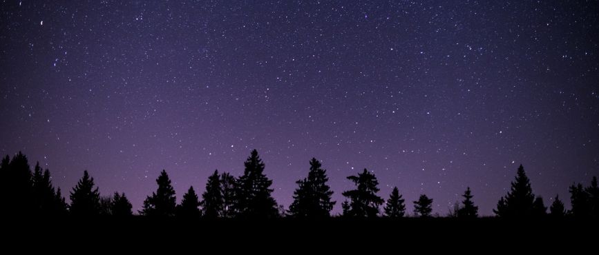 A very dark sky with many stars visible and the silouettes of trees