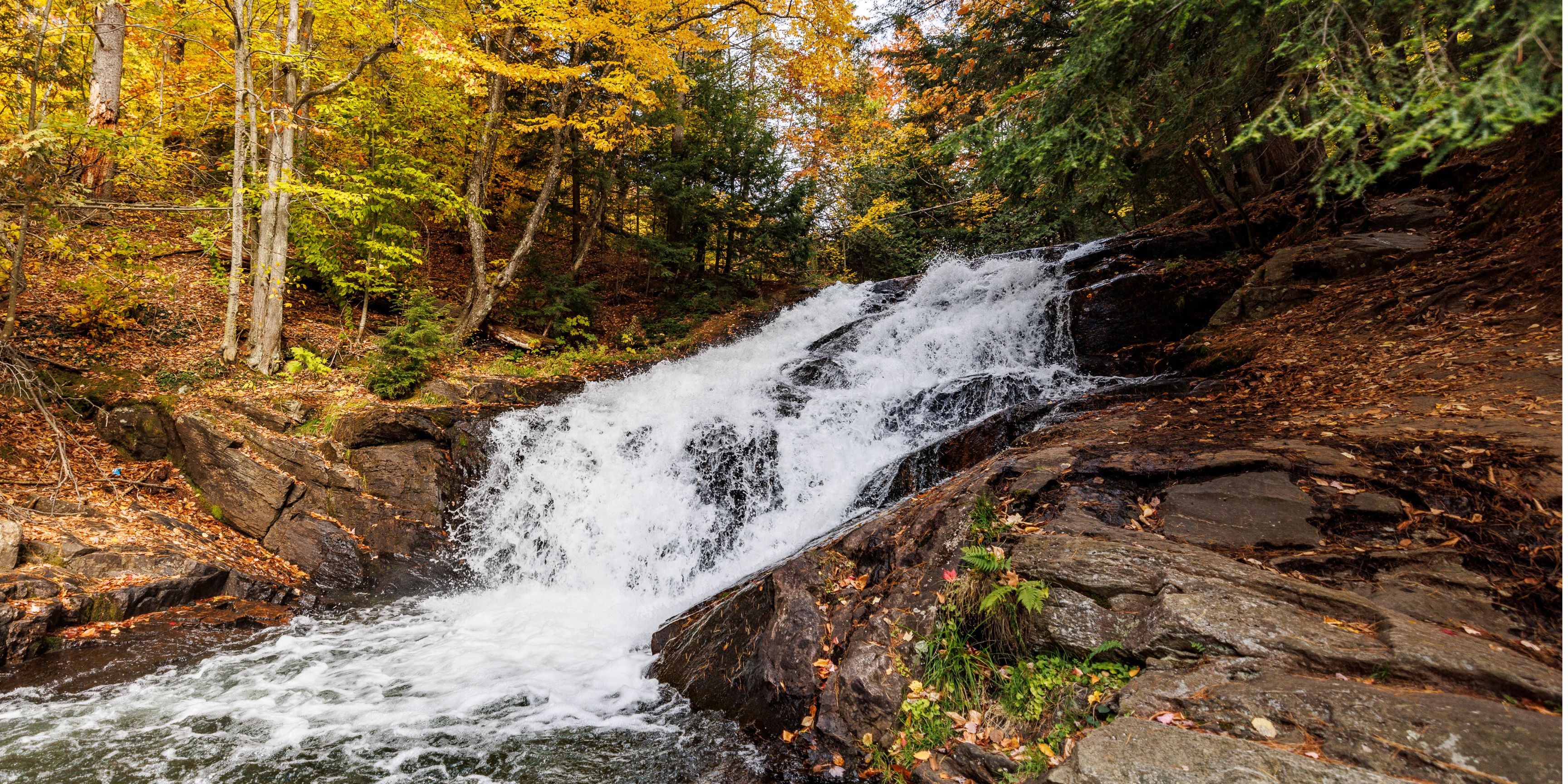 Waterfall with fall foliage and trees surrounding