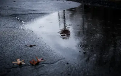 Contents of an emergency kit
