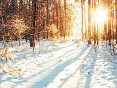 A snowy sunset