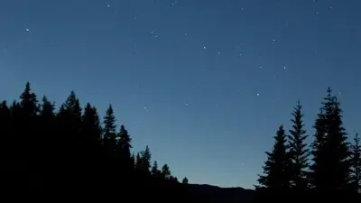 dark starry night