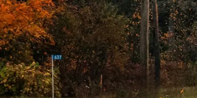 911 sign on side of road