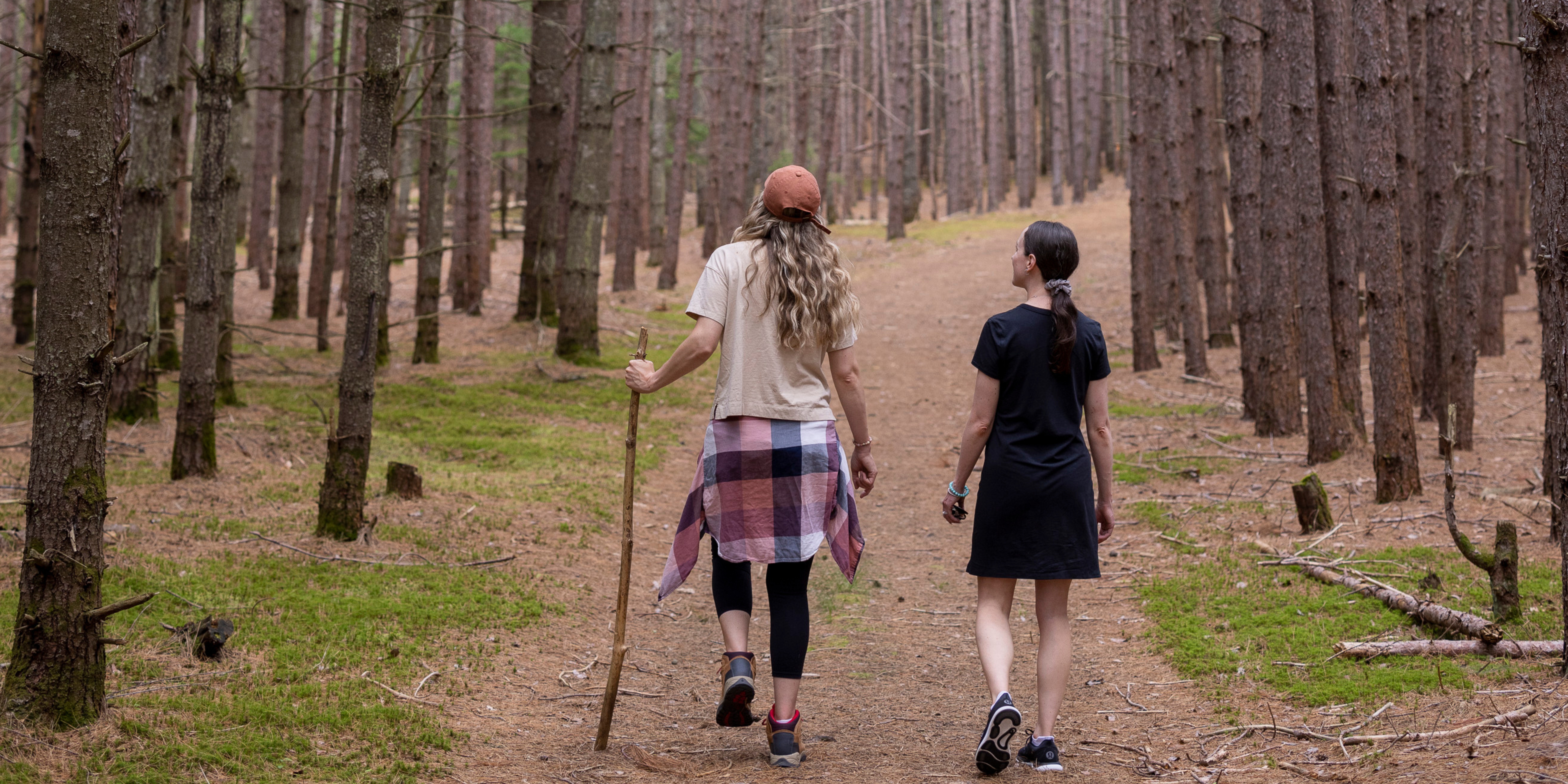 Two people walking on a forest trail