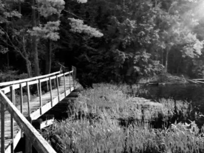 Hardy Lake Trail in black and white